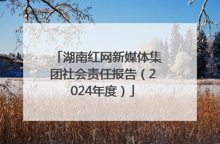 湖南红网新媒体集团社会责任报告（2024年度）