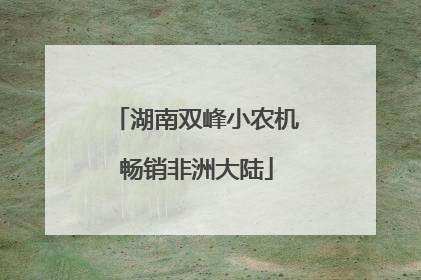 湖南双峰小农机畅销非洲大陆