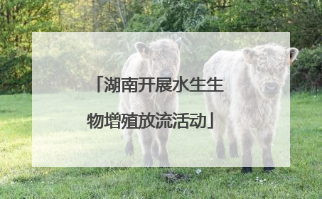 湖南开展水生生物增殖放流活动