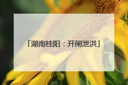 湖南桂阳：开闸泄洪