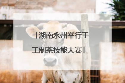 湖南永州举行手工制茶技能大赛