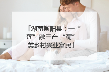 湖南衡阳县：一“莲”融三产 “荷”美乡村兴业富民