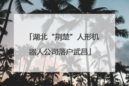 湖北“荆楚”人形机器人公司落户武昌