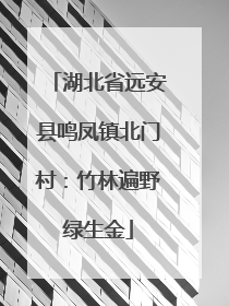 湖北省远安县鸣凤镇北门村：竹林遍野绿生金