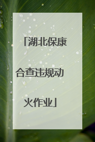 湖北保康合查违规动火作业