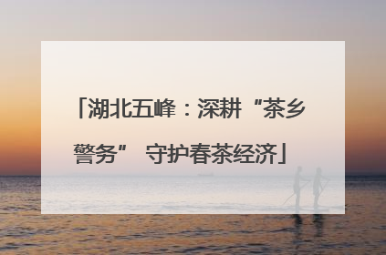 湖北五峰：深耕“茶乡警务” 守护春茶经济