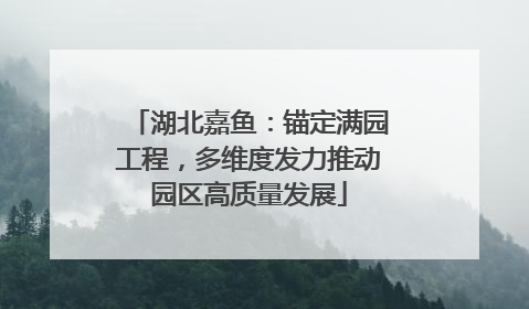 湖北嘉鱼：锚定满园工程，多维度发力推动园区高质量发展
