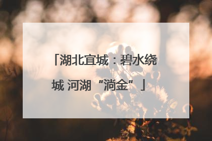 湖北宜城：碧水绕城 河湖“淌金”