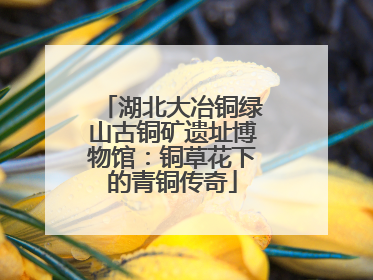 湖北大冶铜绿山古铜矿遗址博物馆：铜草花下的青铜传奇