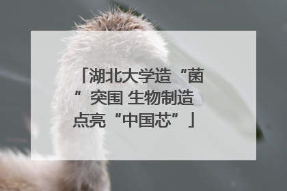 湖北大学造“菌”突围 生物制造点亮“中国芯”