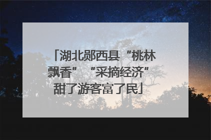 湖北郧西县“桃林飘香”“采摘经济”甜了游客富了民