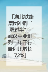 湖北铁路集团冲刺“双过半” 武汉中亚班列一年开行量同比增长72%