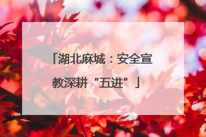 湖北麻城：安全宣教深耕“五进”
