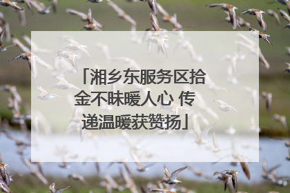 湘乡东服务区拾金不昧暖人心 传递温暖获赞扬