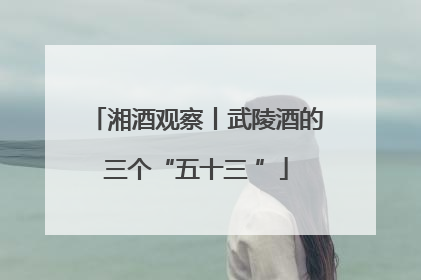 湘酒观察丨武陵酒的三个“五十三 ”