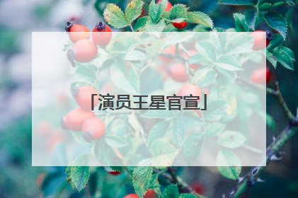 演员王星官宣
