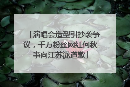 演唱会造型引抄袭争议，千万粉丝网红何秋亊向汪苏泷道歉
