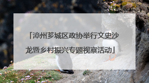 漳州芗城区政协举行文史沙龙暨乡村振兴专题视察活动