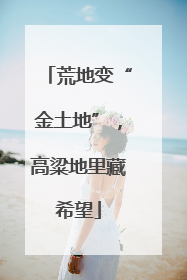 荒地变“金土地”，高粱地里藏希望