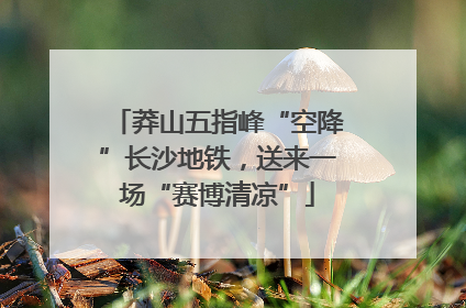 莽山五指峰“空降”长沙地铁，送来一场“赛博清凉”