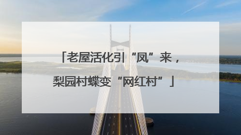 老屋活化引“凤”来，梨园村蝶变“网红村”