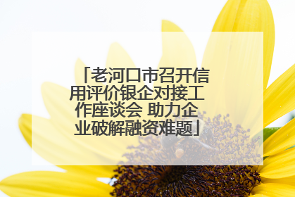 老河口市召开信用评价银企对接工作座谈会 助力企业破解融资难题