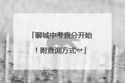 聊城中考查分开始！附查询方式→