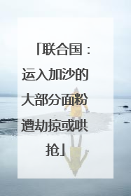 联合国：运入加沙的大部分面粉遭劫掠或哄抢