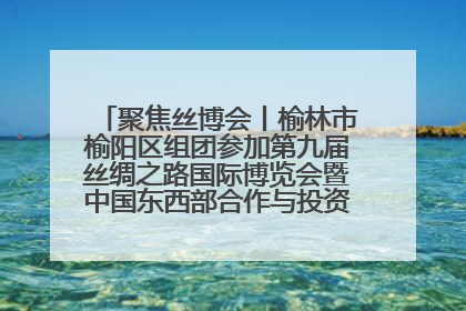聚焦丝博会丨榆林市榆阳区组团参加第九届丝绸之路国际博览会暨中国东西部合作与投资贸易洽谈会
