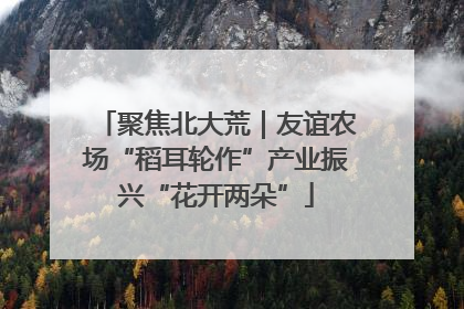 聚焦北大荒｜友谊农场“稻耳轮作”产业振兴“花开两朵”