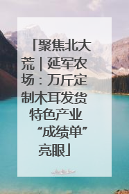 聚焦北大荒｜延军农场：万斤定制木耳发货 特色产业“成绩单”亮眼