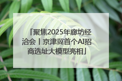 聚焦2025年廊坊经洽会丨京津冀首个AI招商选址大模型亮相