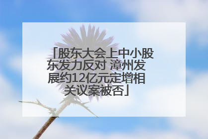 股东大会上中小股东发力反对 漳州发展约12亿元定增相关议案被否