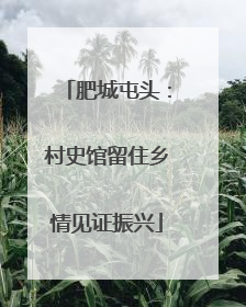 肥城屯头：村史馆留住乡情见证振兴
