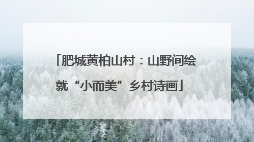 肥城黄柏山村：山野间绘就“小而美”乡村诗画