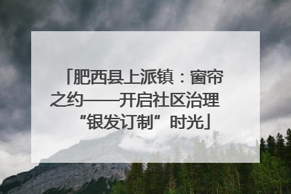 肥西县上派镇：窗帘之约——开启社区治理“银发订制”时光
