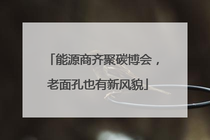 能源商齐聚碳博会，老面孔也有新风貌