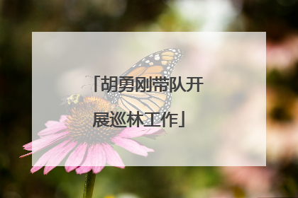 胡勇刚带队开展巡林工作