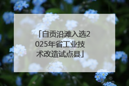 自贡沿滩入选2025年省工业技术改造试点县