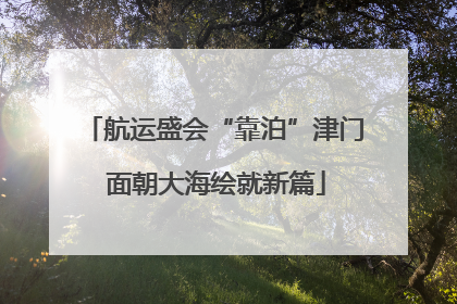 航运盛会“靠泊”津门 面朝大海绘就新篇