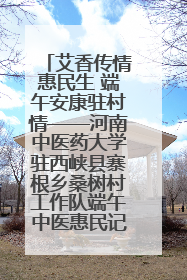 艾香传情惠民生 端午安康驻村情——河南中医药大学驻西峡县寨根乡桑树村工作队端午中医惠民记