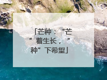 芒种：“芒”着生长，“种”下希望