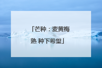 芒种：麦黄梅熟 种下希望
