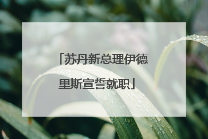 苏丹新总理伊德里斯宣誓就职