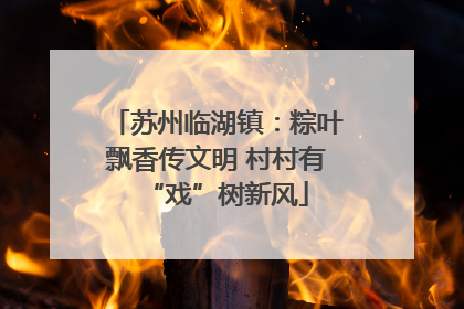 苏州临湖镇：粽叶飘香传文明 村村有“戏”树新风