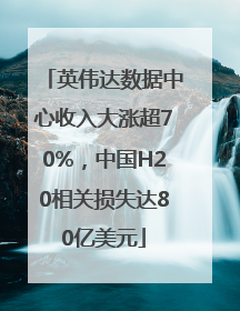 英伟达数据中心收入大涨超70%，中国H20相关损失达80亿美元