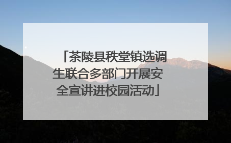 茶陵县秩堂镇选调生联合多部门开展安全宣讲进校园活动
