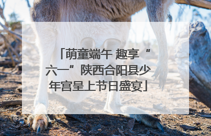 萌童端午 趣享“六一”陕西合阳县少年宫呈上节日盛宴