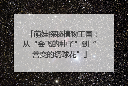 萌娃探秘植物王国：从“会飞的种子”到“善变的绣球花”