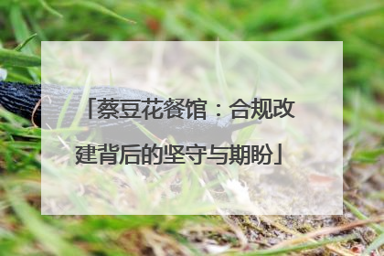 蔡豆花餐馆：合规改建背后的坚守与期盼